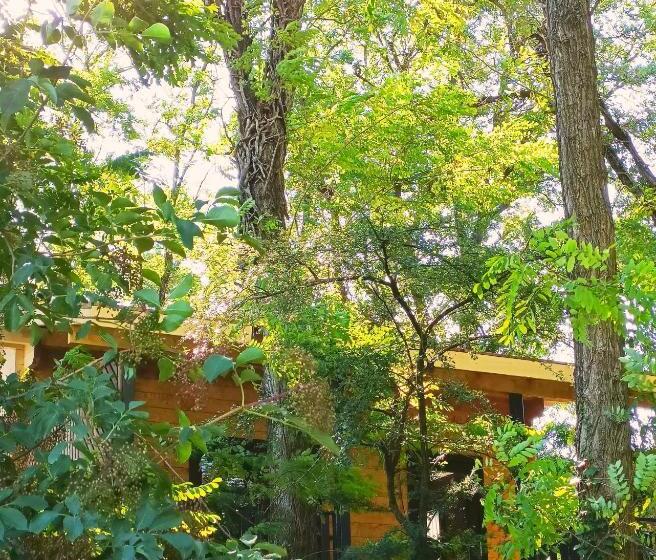 بنسيون Des Branches & Vous