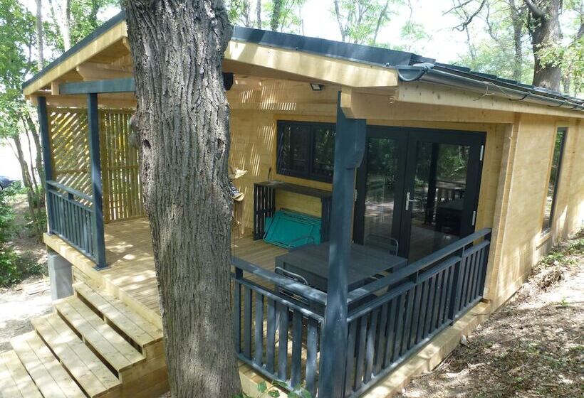 بنسيون Des Branches & Vous