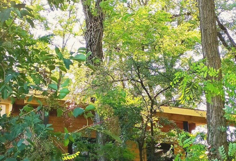 بنسيون Des Branches & Vous