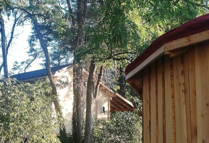 بنسيون Des Branches & Vous