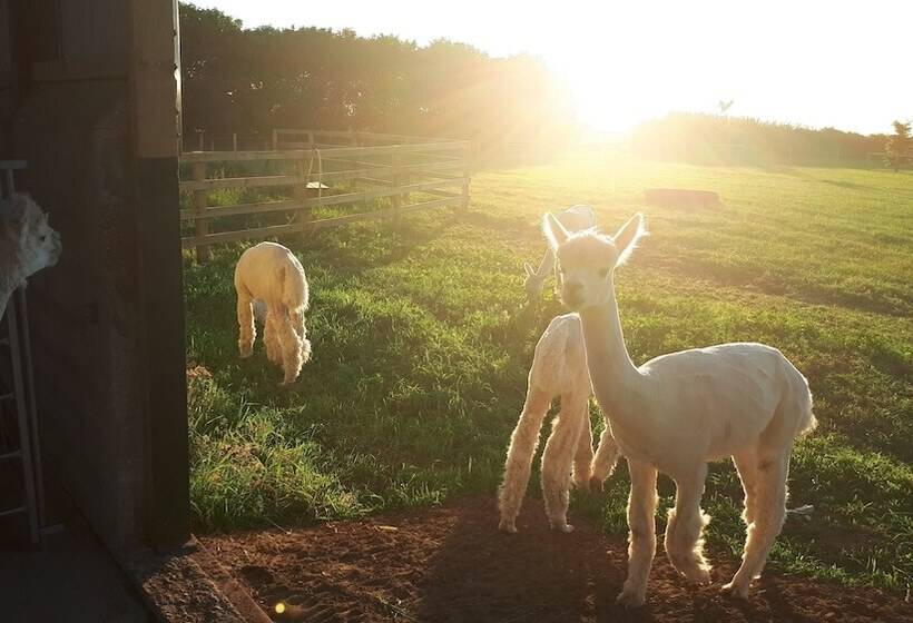 펜션 Highfield Farm