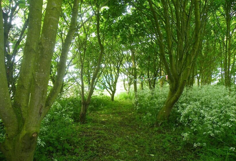 펜션 Highfield Farm