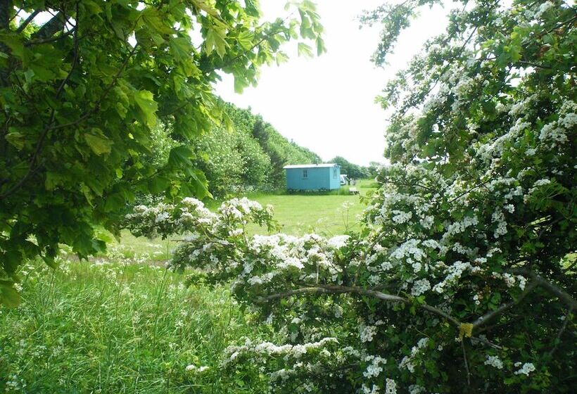 펜션 Highfield Farm