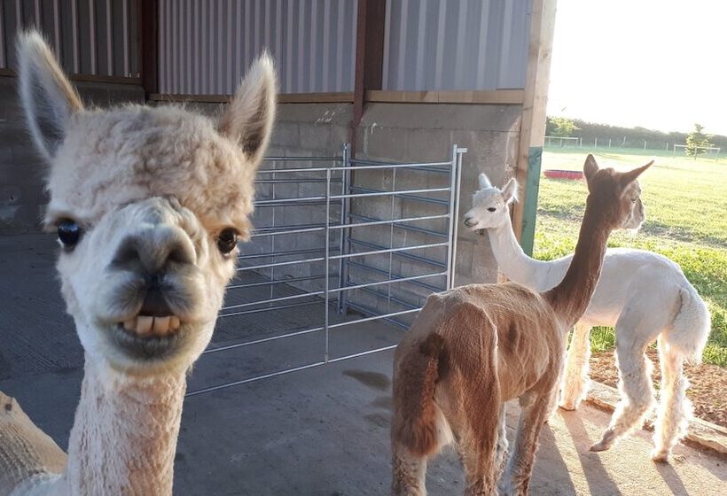 펜션 Highfield Farm