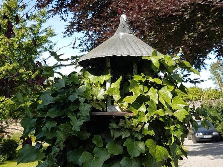 بنسيون Le Sophora