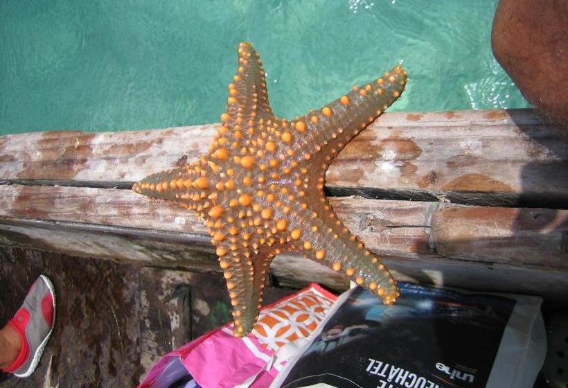 膳宿费 Villa Noah