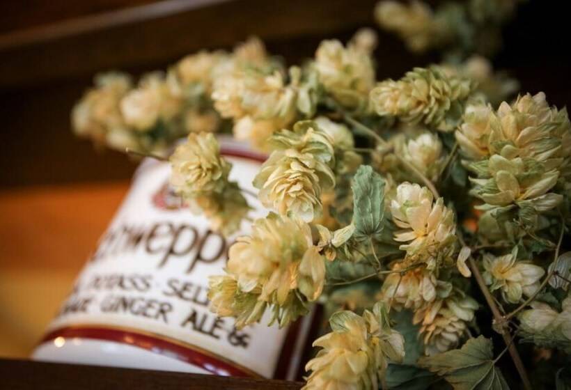 The Lindisfarne Inn The Inn Collection Group