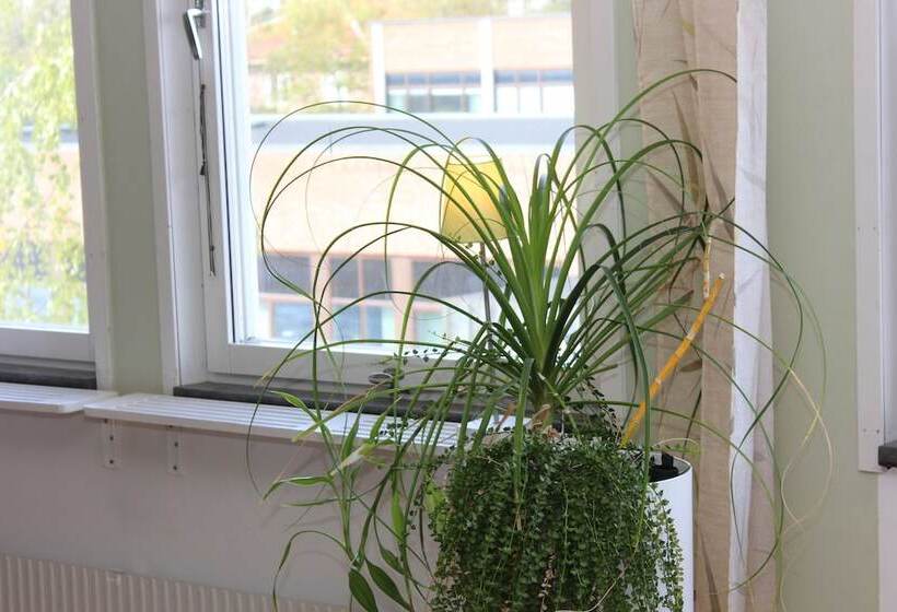 旅馆 Stf Ostersund Ledkrysset