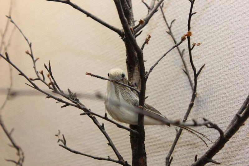 旅馆 Stf Ostersund Ledkrysset