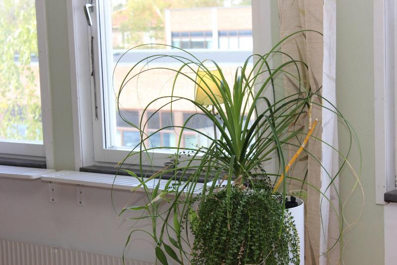 旅馆 Stf Ostersund Ledkrysset