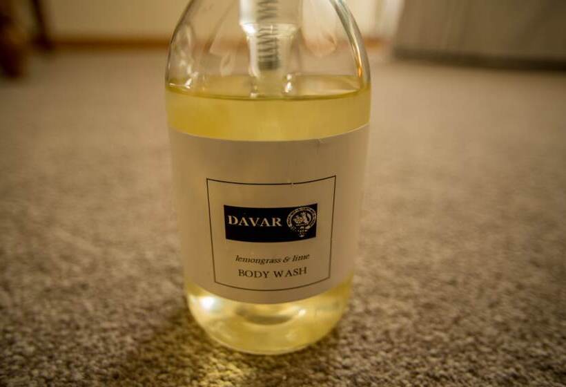 住宿加早餐  Davar