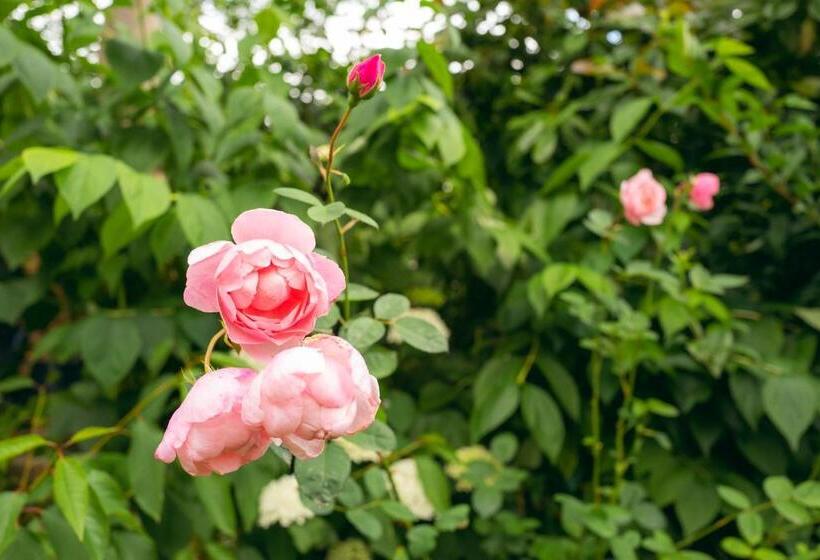 민박 Grosvenor Villa