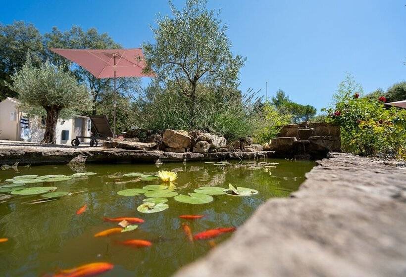 צימר Mas La Chêneraie Lourmarin   Au Calme, à 10 Mn Du Centre Ville à Pied