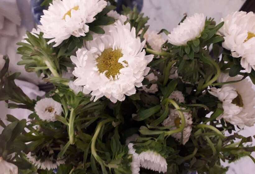 צימר Melin Tregib