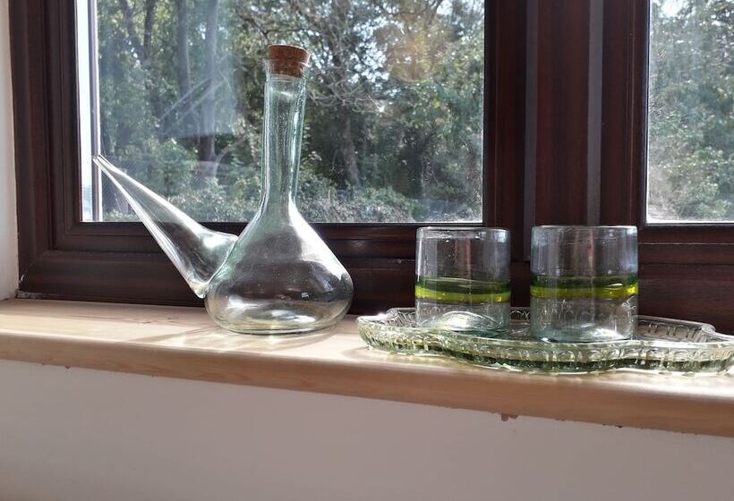 צימר Melin Tregib