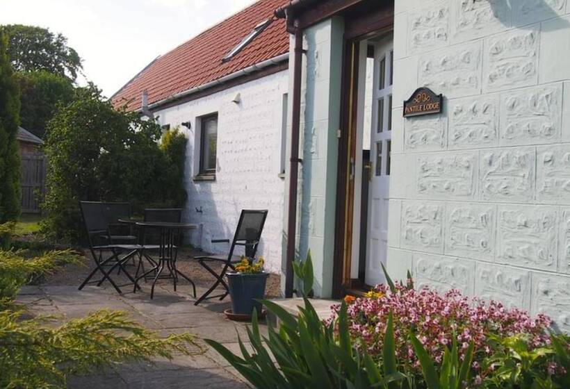 تختخواب و صبحانه Pantile Lodge