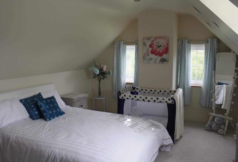 Bed and Breakfast Roe Valley Manor And Estate