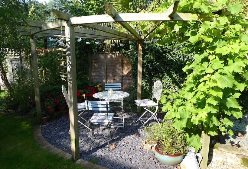 Bed and Breakfast The White House