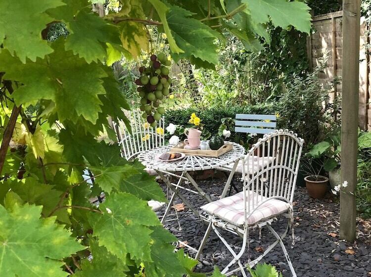 Bed and Breakfast The White House