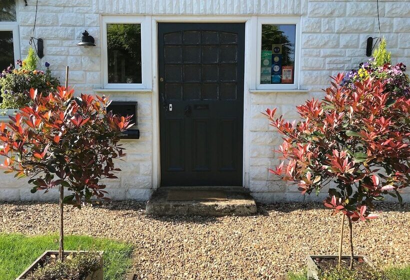 Bed and Breakfast The White House