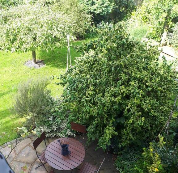 Field View B&b