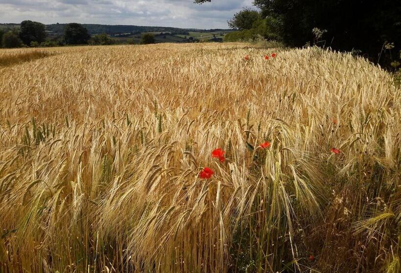 Greenhill Farm Barn B&b