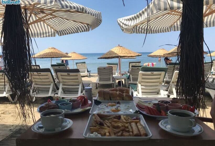 Отель Cinar Suite House