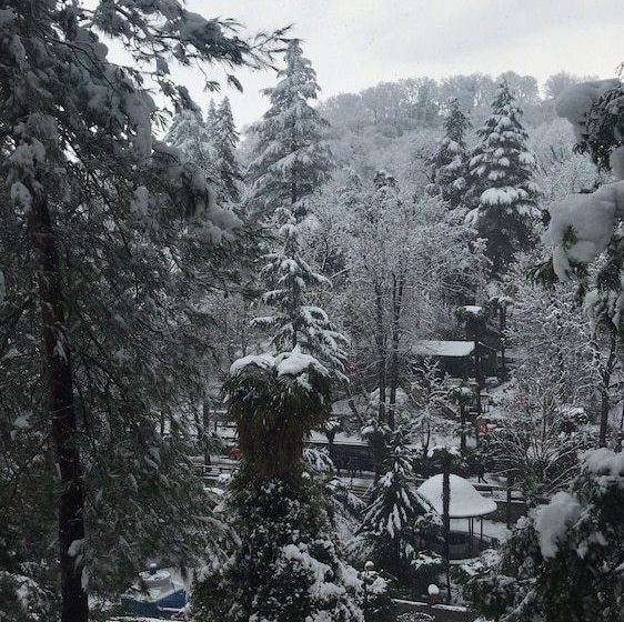 בית מלון כפרי Diamond