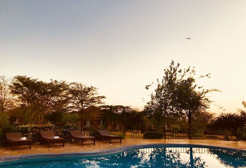 فندق Enyati Lodge