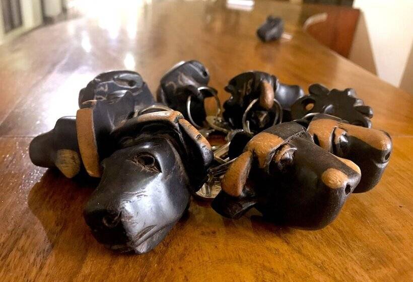 فندق Enyati Lodge