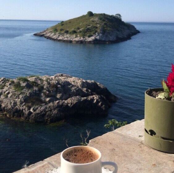 בית מלון כפרי Frau Guler