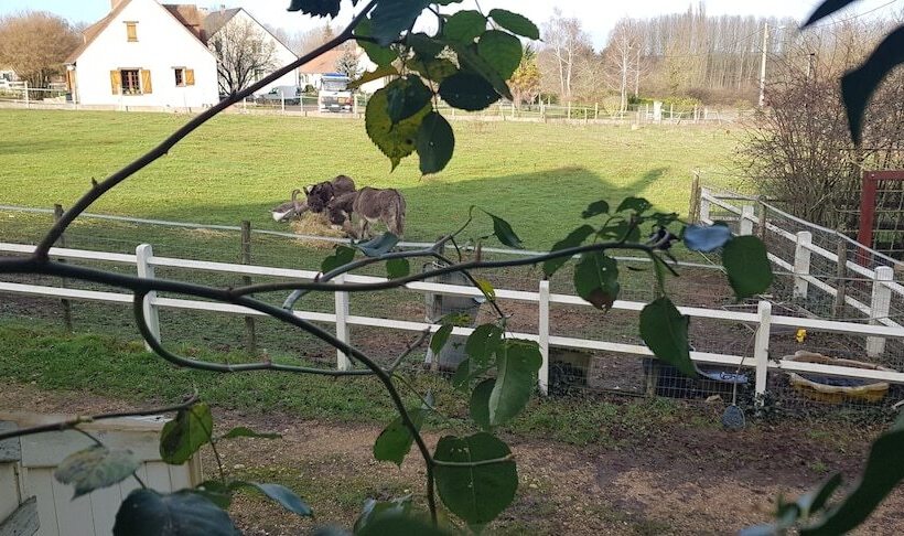 호텔 Hôtel Louise De La Vallière
