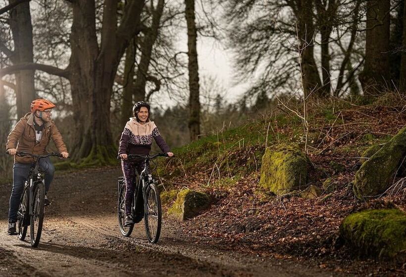 ホテル Killeavy Castle Estate