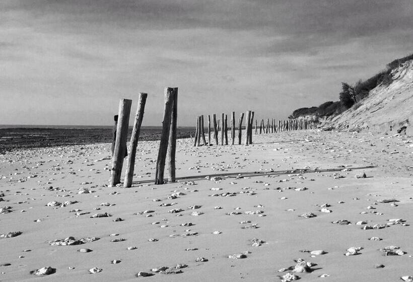 Отель Les Bains Boyardville   Hôtel Et Restaurant
