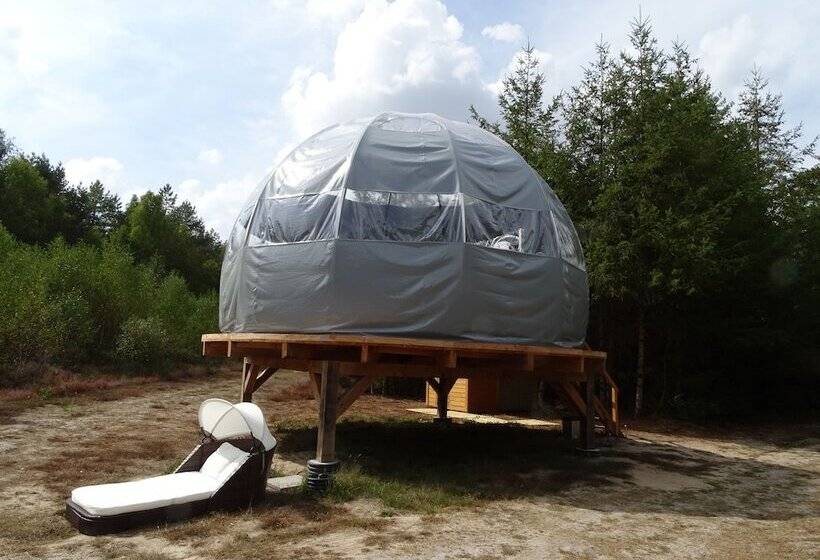 בית מלון כפרי Les Bulles De Sologne   Hébergements Insolites