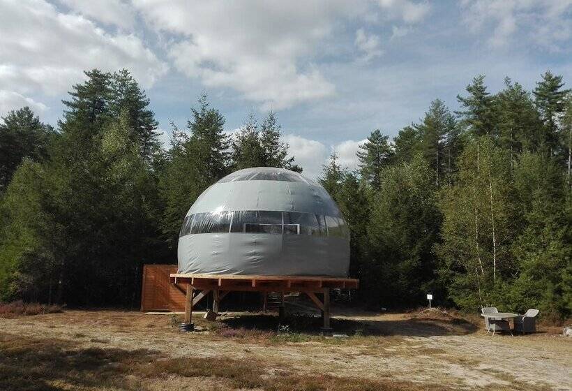 בית מלון כפרי Les Bulles De Sologne   Hébergements Insolites