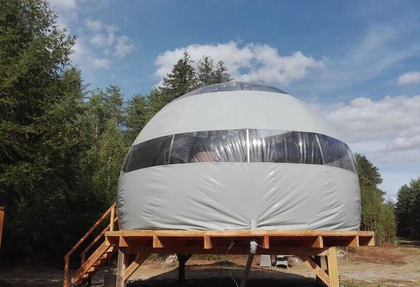 בית מלון כפרי Les Bulles De Sologne   Hébergements Insolites