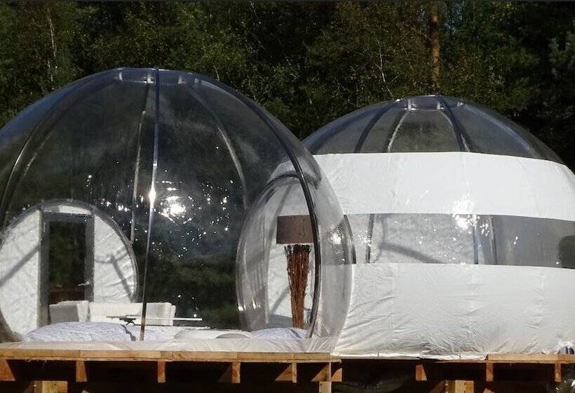 בית מלון כפרי Les Bulles De Sologne   Hébergements Insolites