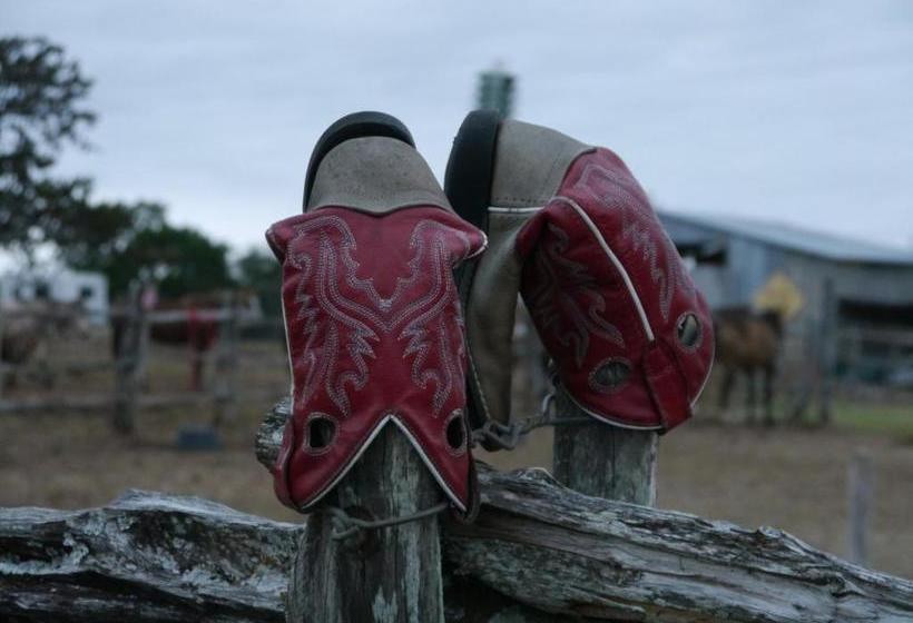 בית מלון כפרי Twin Elm Guest Ranch