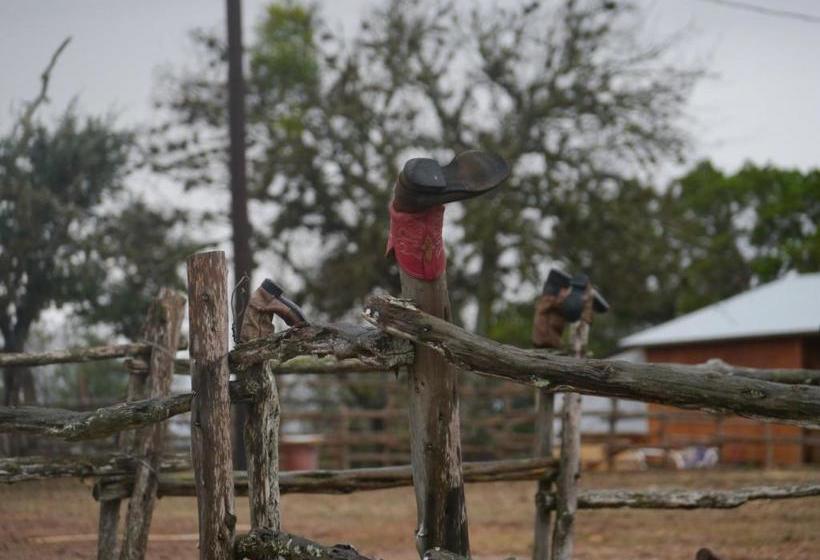 교외 호텔 Twin Elm Guest Ranch