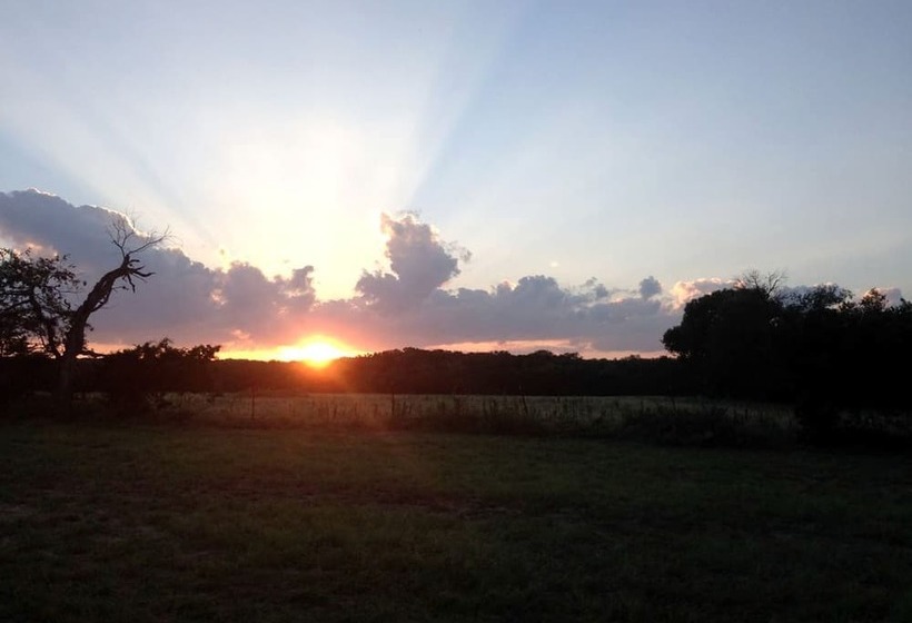 בית מלון כפרי Twin Elm Guest Ranch