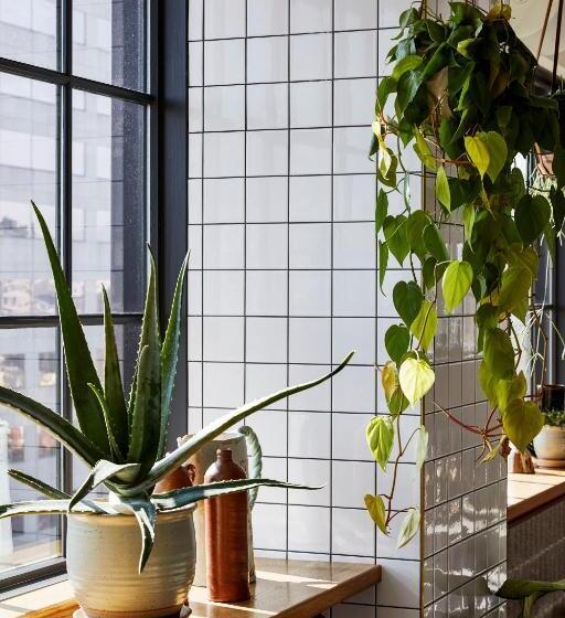 هتل The Hoxton Portland