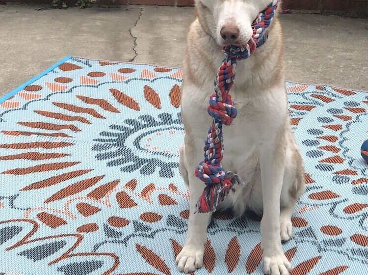 Life Is Good Bed And Breakfast