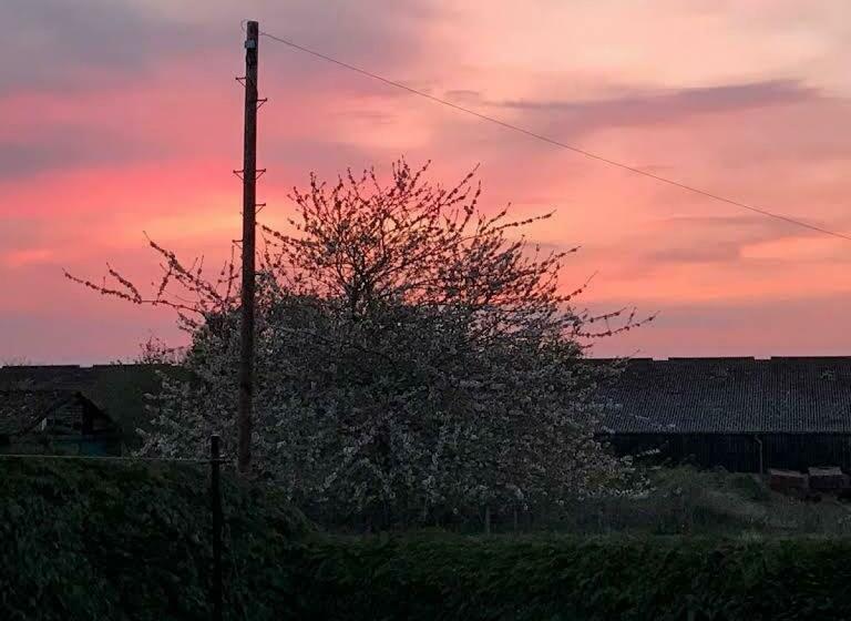 بنسيون Broomlea