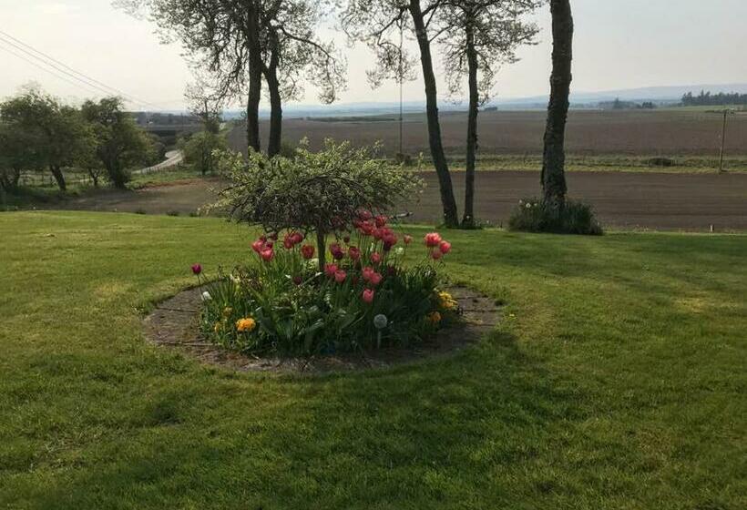 بنسيون Broomlea