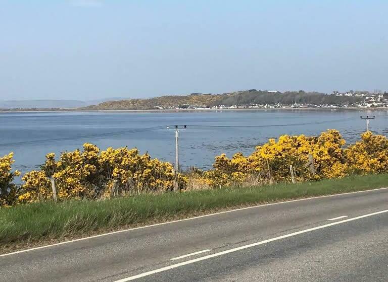 بنسيون Broomlea