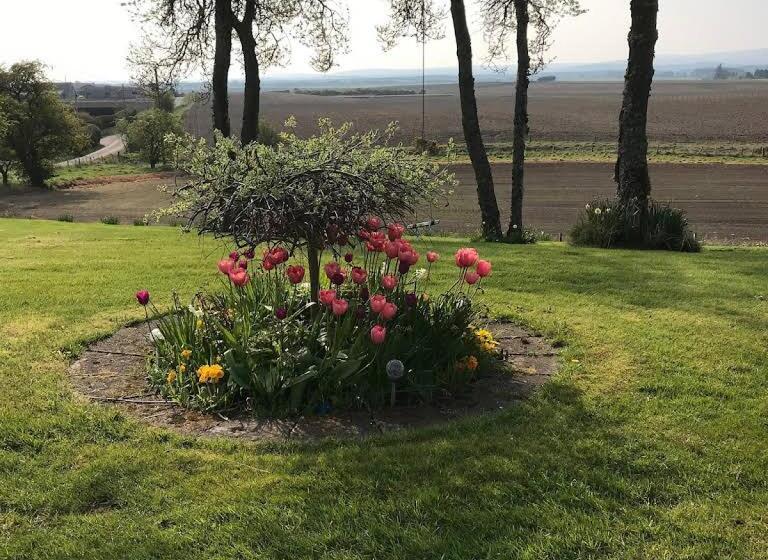 بنسيون Broomlea