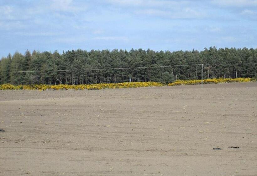 بنسيون Broomlea