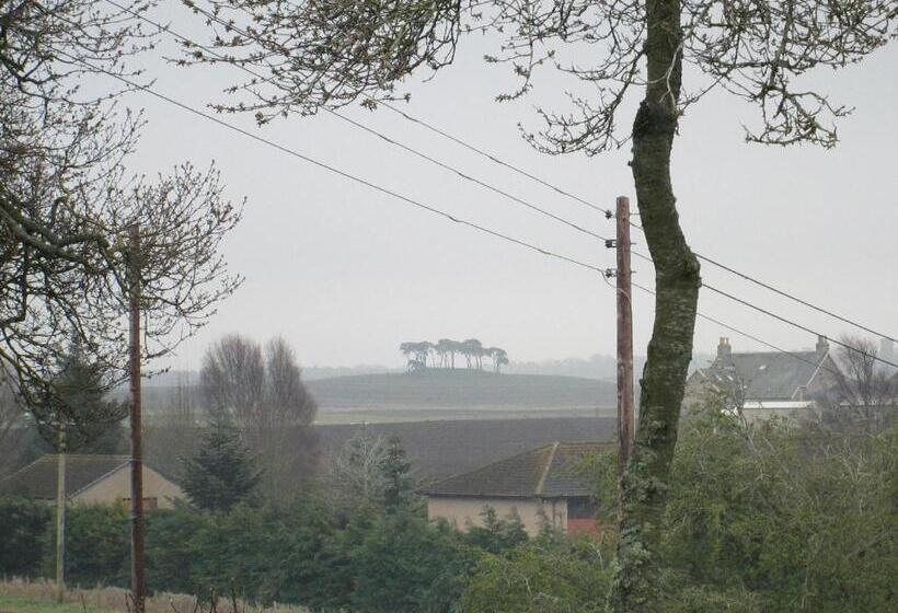 بنسيون Broomlea