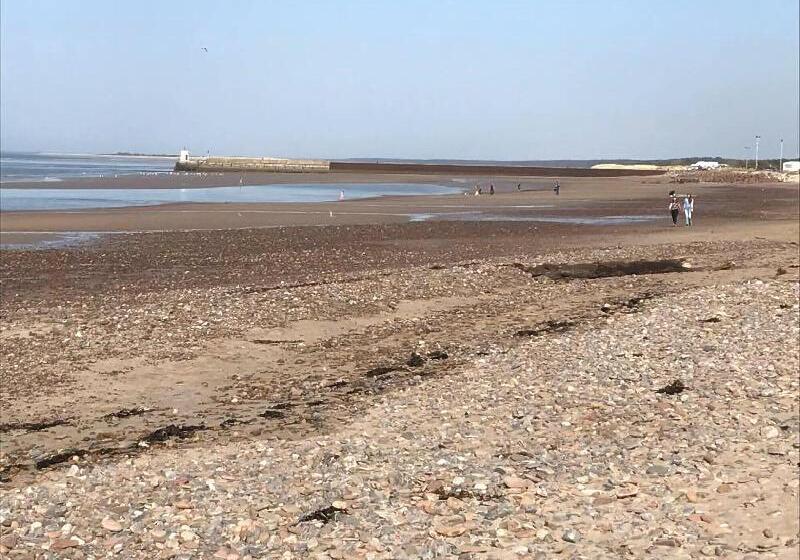 بنسيون Broomlea